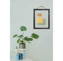 Dekorative Zimmerpflanze in einem Topf mit Rahmenbild an der Wand
