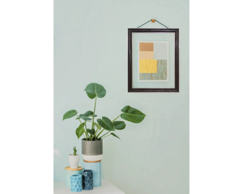Dekorative Zimmerpflanze in einem Topf mit Rahmenbild an der Wand