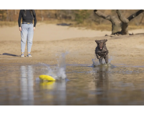 Ein Hund apportiert eine gelbe Frisbeescheibe im Wasser, während eine Person am Ufer steht.