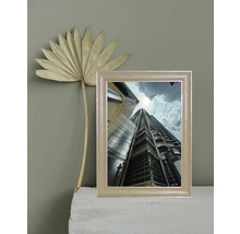 Gerahmtes Bild eines Wolkenkratzers neben einem getrockneten Palmblatt