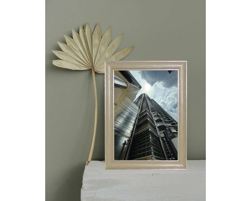 Gerahmtes Bild eines Wolkenkratzers neben einem getrockneten Palmblatt