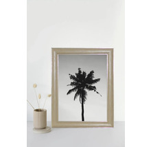 Gerahmtes Bild einer Palme