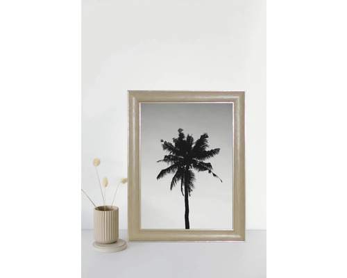 Gerahmtes Bild einer Palme