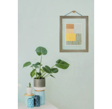 Zimmer mit Zimmerpflanze und gerahmtem Bild an der Wand