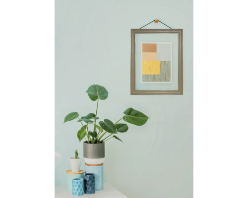 Zimmer mit Zimmerpflanze und gerahmtem Bild an der Wand