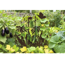 Scène de jardin avec support à plantes grimpantes, plantes de concombres et plantes d'aubergines