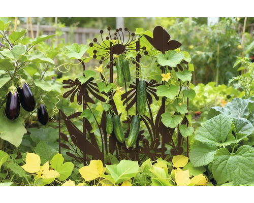 Scène de jardin avec support à plantes grimpantes, plantes de concombres et plantes d'aubergines
