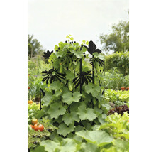 Plants de concombres sur support à plantes avec motifs de fleurs et de papillons dans le potager.
