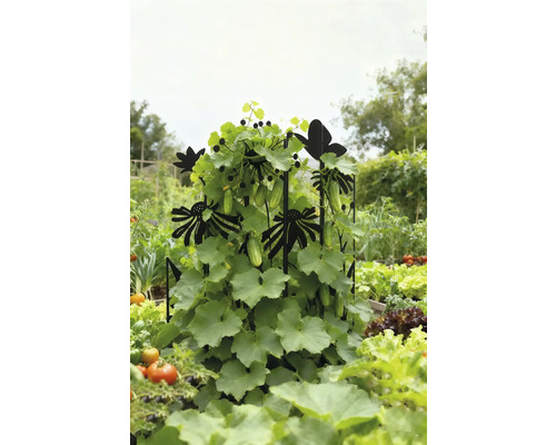 Plants de concombres sur support à plantes avec motifs de fleurs et de papillons dans le potager.