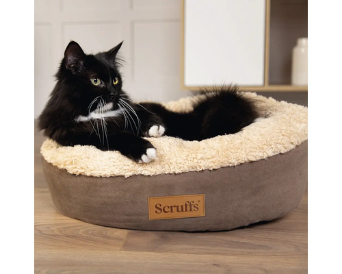 Chat noir allongé dans un lit pour chat Scruffs