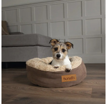 Chien allongé dans un panier rond marron avec le logo Scruffs