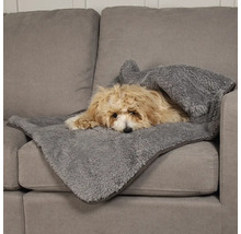 Chien allongé sur un canapé gris sous une couverture grise douce