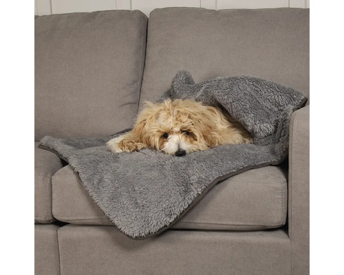 Chien allongé sur un canapé gris sous une couverture grise douce