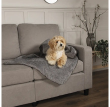 Un chien est assis sur une couverture grise pour chien sur un canapé gris.