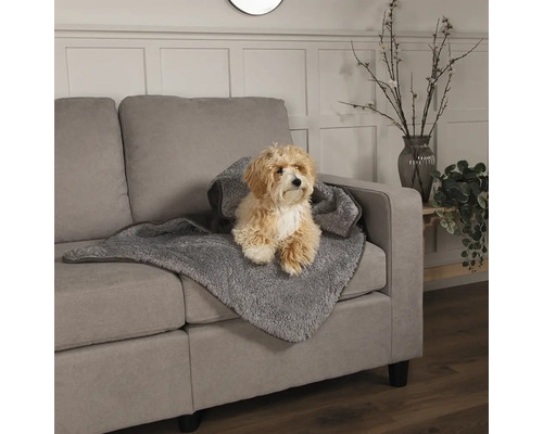 Un chien est assis sur une couverture grise pour chien sur un canapé gris.