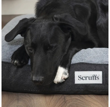 Chien noir dormant sur un lit pour chien gris avec le logo Scruffs