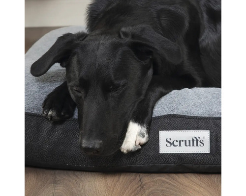 Chien noir dormant sur un lit pour chien gris avec le logo Scruffs