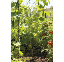 Gartenansicht mit Pflanzenstütze in Blattform.