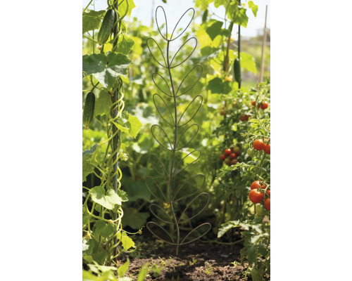 Gartenansicht mit Pflanzenstütze in Blattform.