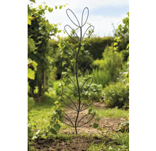 Pflanzhilfe in Blattstruktur mit Kletterpflanze im Garten