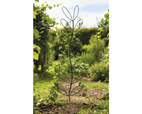 Pflanzhilfe in Blattstruktur mit Kletterpflanze im Garten
