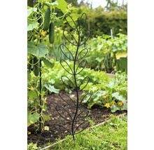 Gemüsegarten mit Rankhilfe für Pflanzen