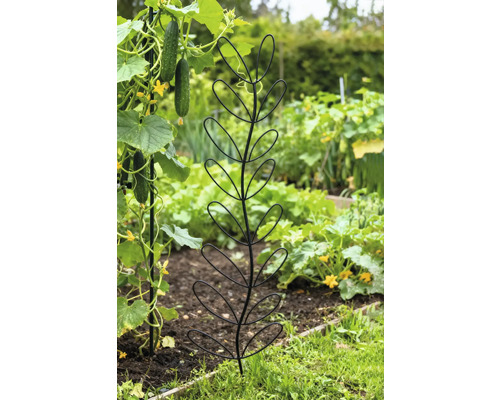 Gemüsegarten mit Rankhilfe für Pflanzen