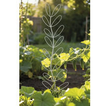 Pflanzenstütze im Garten mit Gurkenpflanze