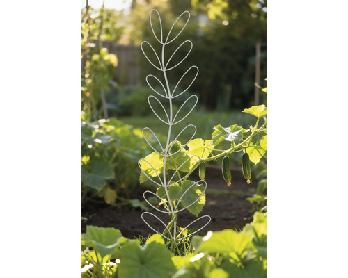 Pflanzenstütze im Garten mit Gurkenpflanze