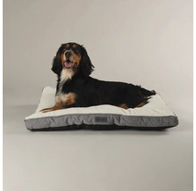 Hund liegt auf einem grauen Hundebett