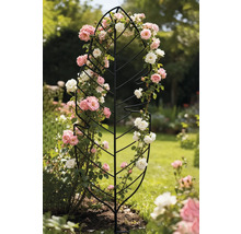 Blattförmige Rankhilfe mit Rosen im Garten