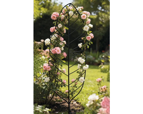 Blattförmige Rankhilfe mit Rosen im Garten