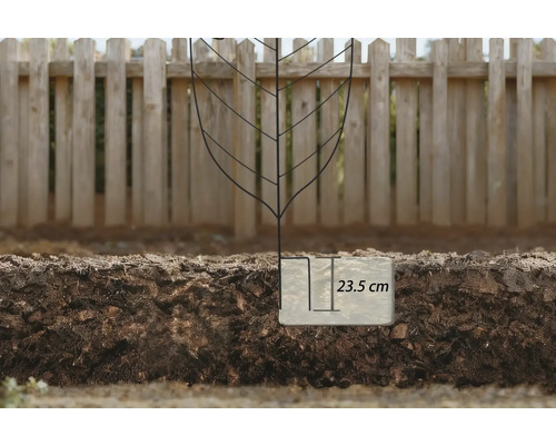 Pflanzloch mit einer Tiefe von 23,5 Zentimetern im Gartenboden