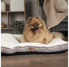 Zwergspitz liegt auf einem Hundebett mit weicher Liegefläche