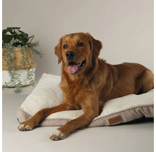 Golden Retriever liegt auf einem rechteckigen Hundebett mit Plüschoberfläche