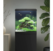Eingerichtetes Aquarium mit Fischen und Pflanzen auf einem schwarzen Unterschrank.