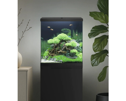 Eingerichtetes Aquarium mit Fischen und Pflanzen auf einem schwarzen Unterschrank.