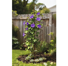Blumenrankhilfe aus Metall mit blühenden Pflanzen im Garten