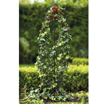 Metall-Rankhilfe mit Efeu und roten Beeren im Garten