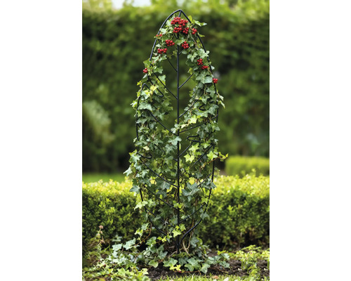Metall-Rankhilfe mit Efeu und roten Beeren im Garten