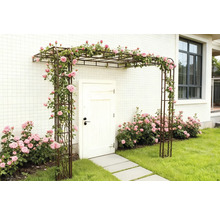 Espace d'entrée avec arche de roses et rosiers en fleurs
