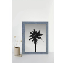 Gerahmtes Bild einer Palme