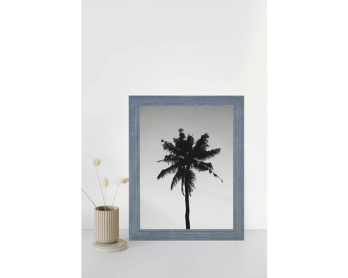 Gerahmtes Bild einer Palme