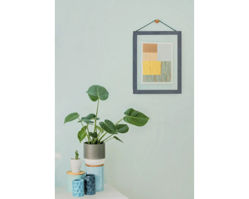 Dekorative Zimmerpflanze auf einem Tisch mit einem gerahmten Bild an der Wand