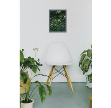 Dekoratives Zimmer mit einem Blattpflanzenbild über einem weißen Stuhl, umgeben von Topfpflanzen.