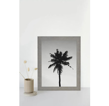 Gerahmtes Bild mit einer Silhouette einer Palme