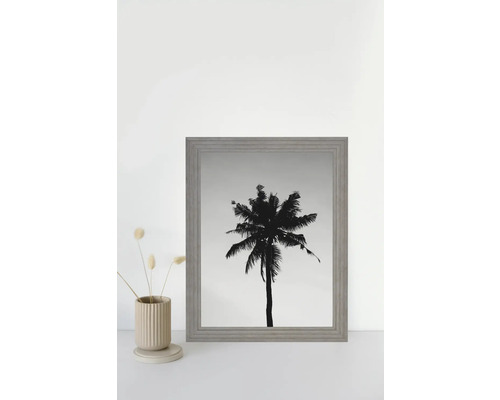 Gerahmtes Bild mit einer Silhouette einer Palme