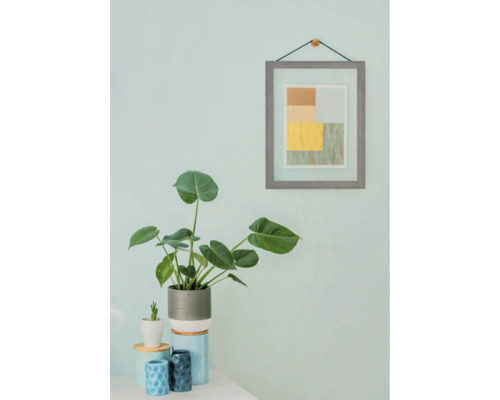 Dekorative Zimmerpflanze im Topf und gerahmtes Bild an einer hellen Wand