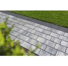 Chemin de jardin pavé avec pelouse