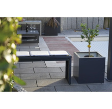 Aussenbereich mit Sitzbank, Kissen und Zitronenbaum im Topf